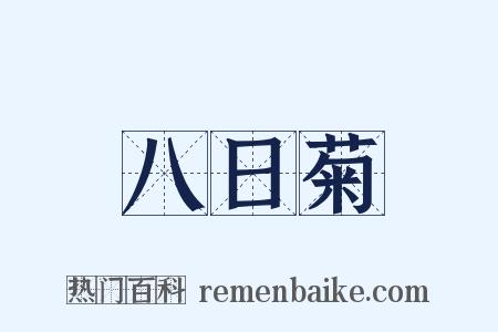 八日菊是什么意思的图片